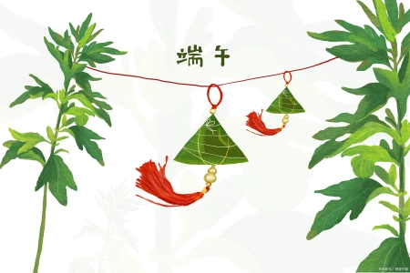 今年端午节哪天割艾草好？老人说“前三后四最合适”，有啥说法？（端午节割艾草的讲究视频）